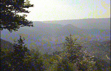 [Phote of Black Forest scenery]