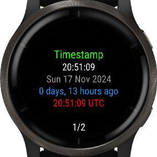 Timestamp view